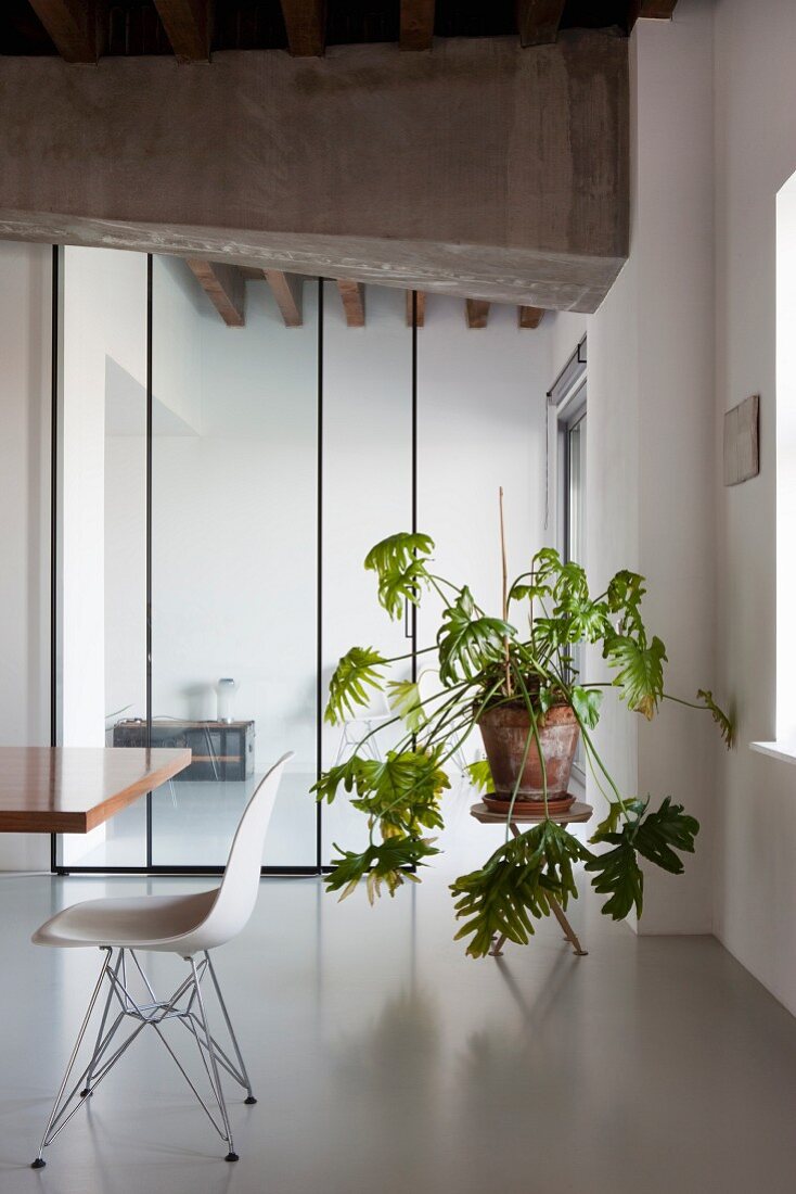 Weißer Klassikerstuhl und Grünpflanze vor Glasschiebetür in renoviertem Loft mit Betonträger und Kunstharzboden
