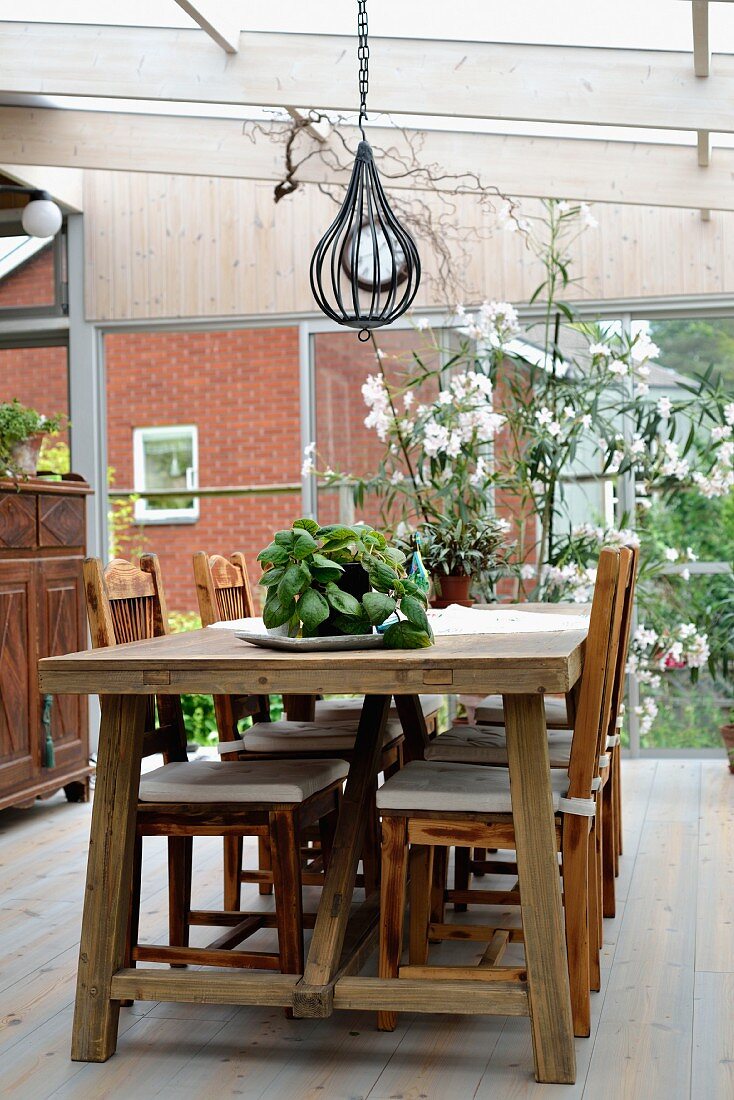 Rustic dining area in conservatory, potted herbs on wooden table below pendant lamp and white oleander bush against glass wall