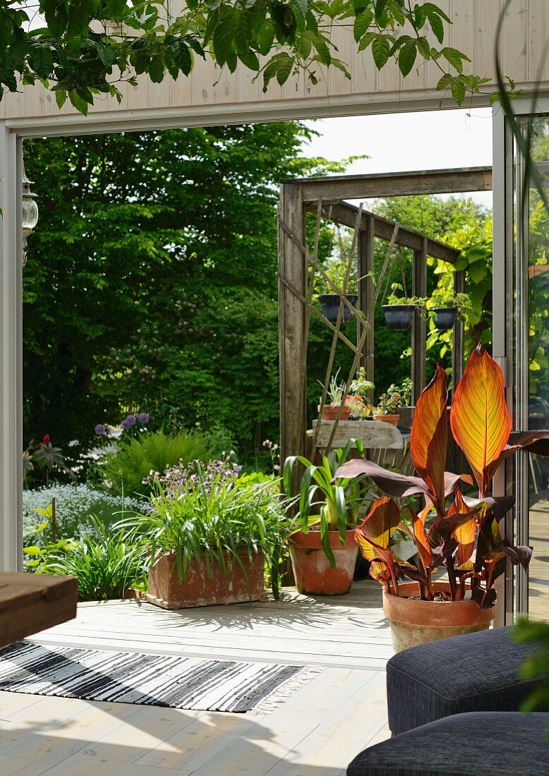 View through open sliding door of extension of potted plants on sunny terrace