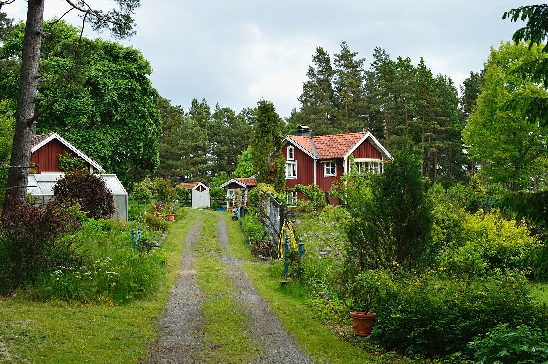 Access road leading to group of wooden houses in enormous garden