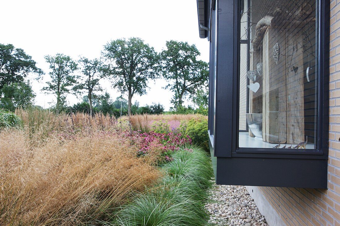 Garten mit verschiedenen Gräsern und zeitgenössisches Wohnhaus mit Erker aus Glas-Stahlkonstruktion in Grau