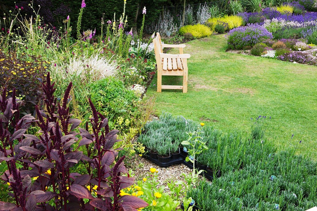 Gepflegter Garten mit bunten Blumenbeeten und Lavendelpflänzchen in schwarzen Blumentöpfen