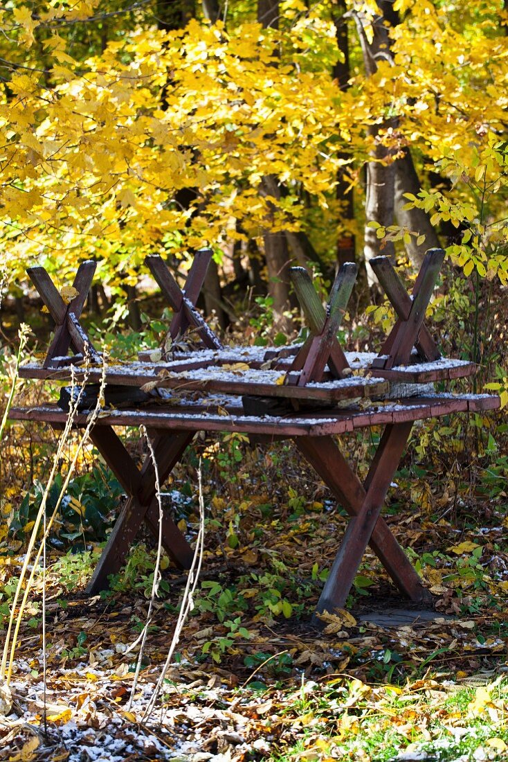 Herbstgarten mit Holztisch und Bänken