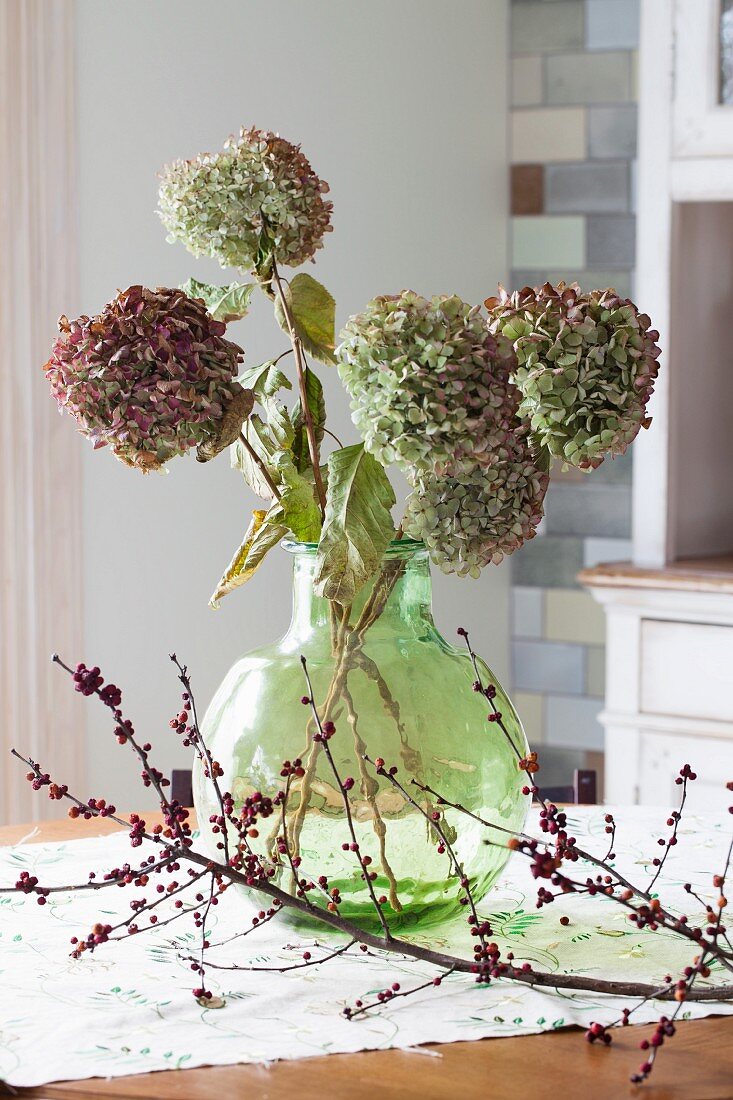 Faded hydrangeas in vase