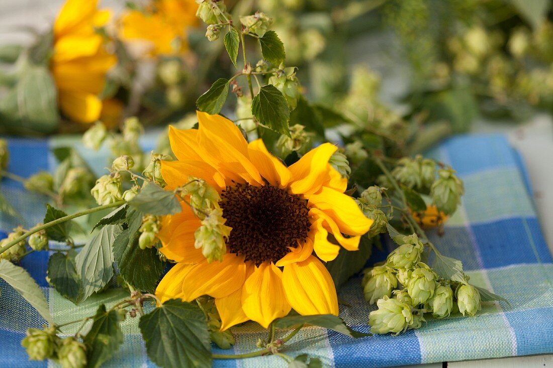 Sonnenblumen & Hopfenranken auf Karotuch