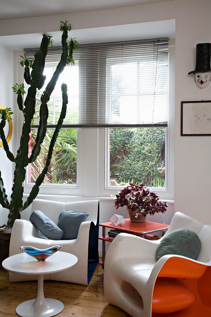Aus Kunststoff geformte Retro Schalensessel und Tulip Table in Fensterecke mit raumhoher Kaktuspflanze