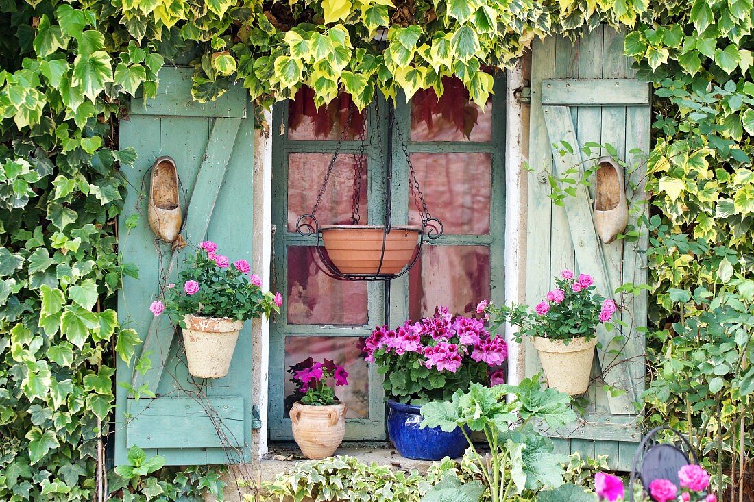 Window shutters decorated with old clogs, potted roses and geraniums