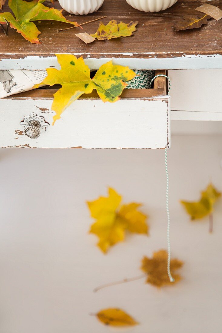 Autumn leaves on open table drawer and on floor