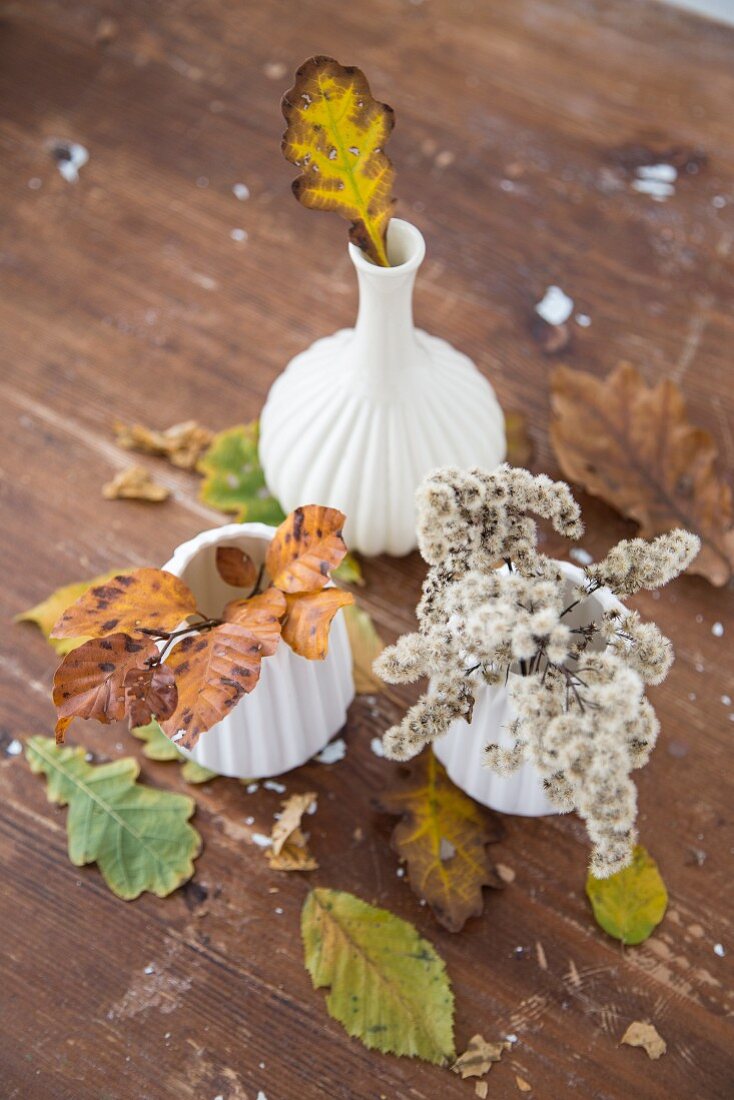 Verfärbte Blätterzweige in weissen Keramikvasen zwischen Herbstlaub auf Holzuntergrund