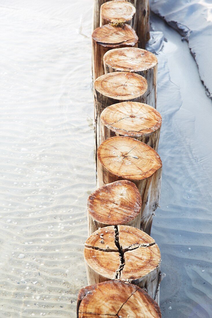 Wooden stakes in the sea