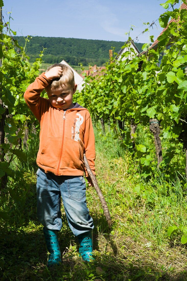 Ludovic, the son of the organic winegrower between vines in a garden, Pfaffenheim, Domaine Pierre Frick, Alsace