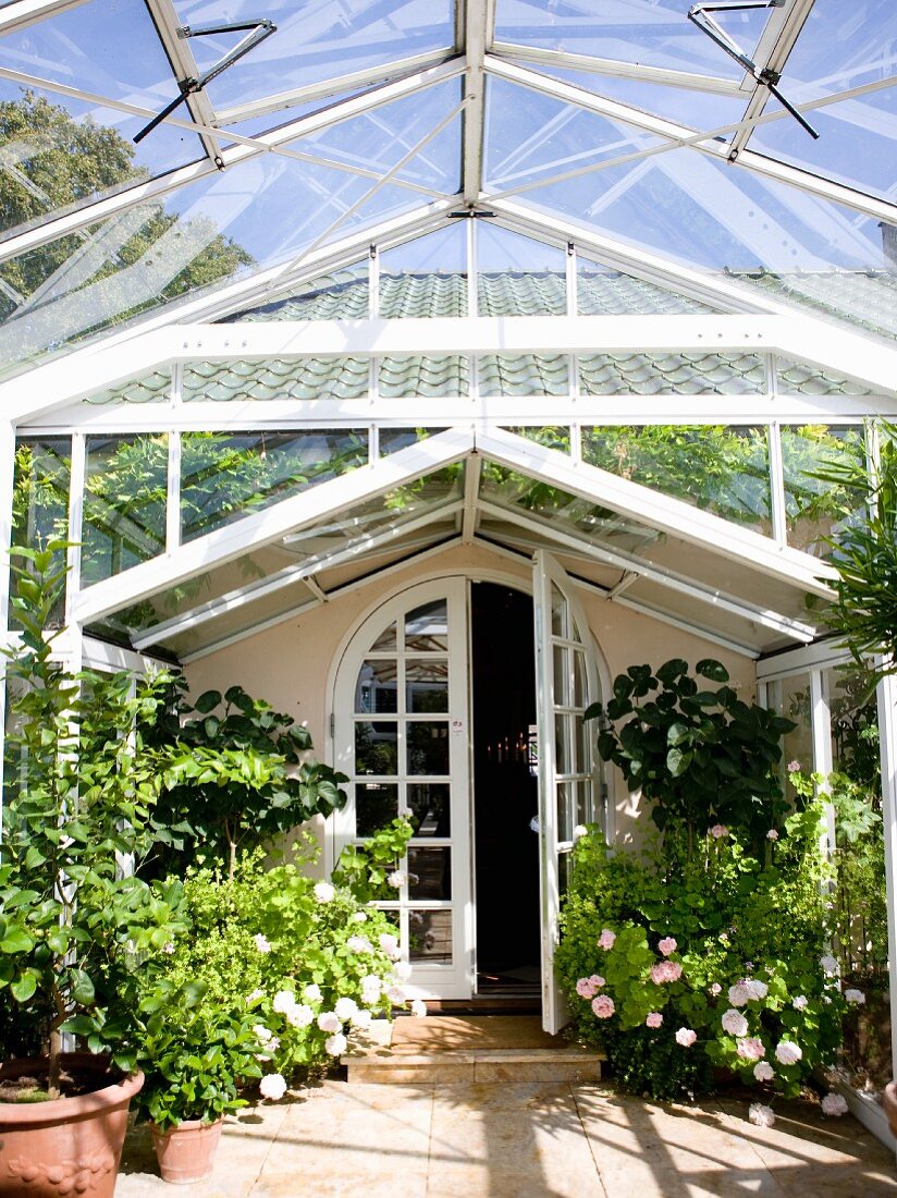 Steel and glass conservatory with arched doorway leading to country house; flowering potted roses