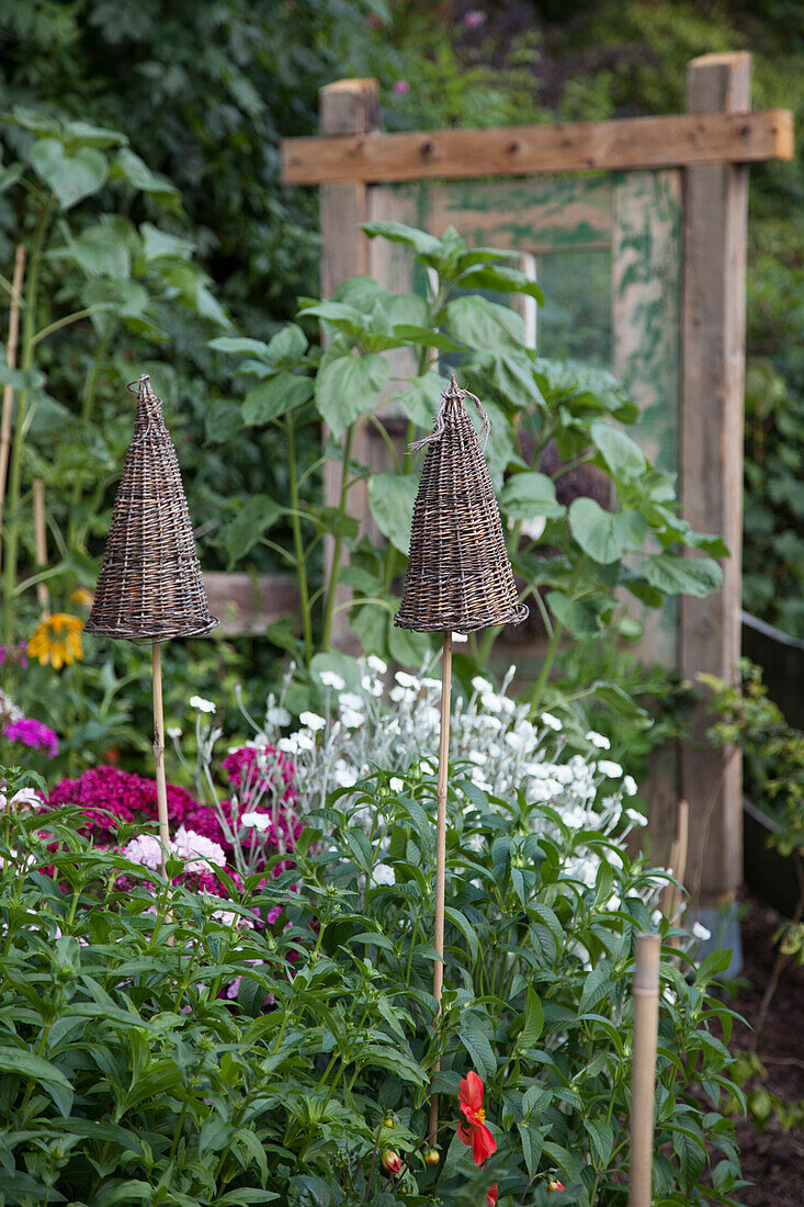 Garden canes topped with wicker cones amongst flowering perennials