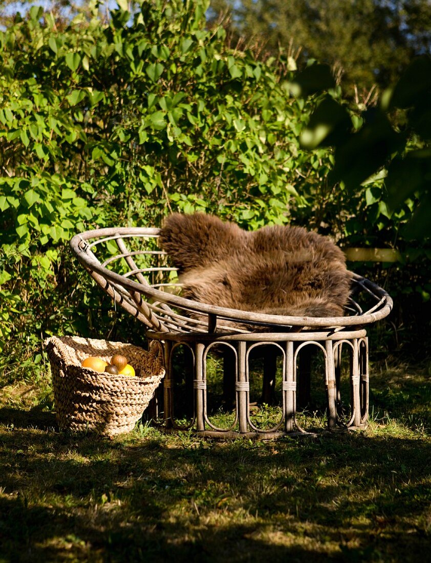 Sessel aus gebogenem Rattan und braunes Fellkissen, seitlich Korb mit geerntetem Obst im Garten