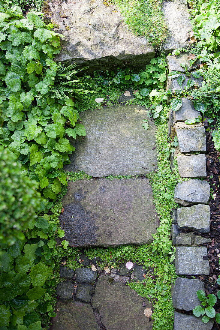 Ausschnitt eines Gartenweges aus Natursteinplatten und Randsteinen
