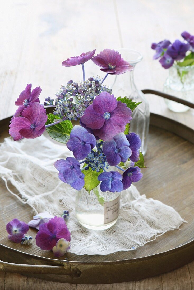 Blue hydrangea in vintage vase on wooden tray