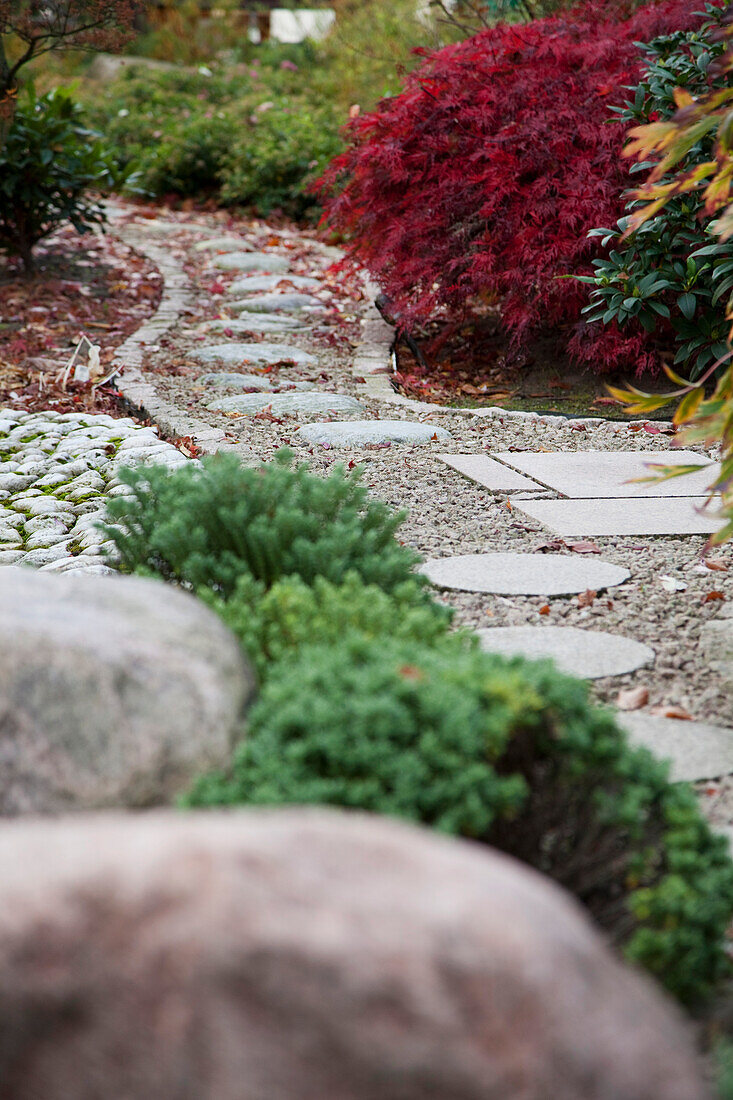 Weg in japanisch gestaltetem Garten, runde Platten auf Kiesuntergrund