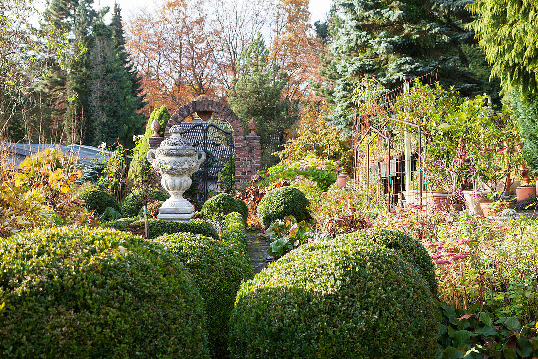 Angelegter Garten mit formgeschnittenen Buchsbaumkugeln und antik griechisches Steingefäss auf Stele