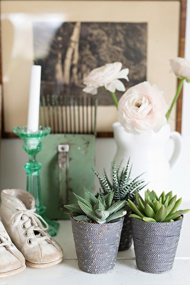 Still-life arrangement of succulents in ornate pots, vintage child's shoes and vase of white flowers