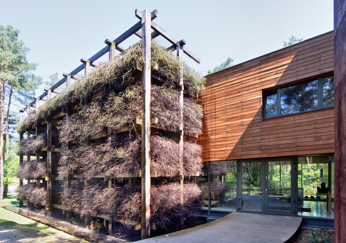Bundles of brushwood on house-height wooden rack in front of modern house with glass walls and wood-clad upper storey