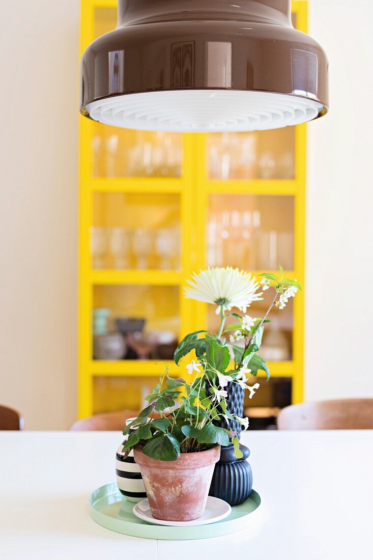 Zimmerblume und Vasen auf Tablett, oberhalb Pendelleuchte mit braun lackiertem Schirm