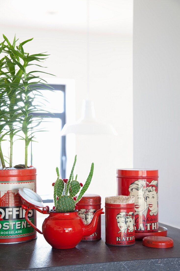 Rotes Kännchen mit eingepflanztem Kaktus und rote Aufbewahrungsdosen im Retro-Look