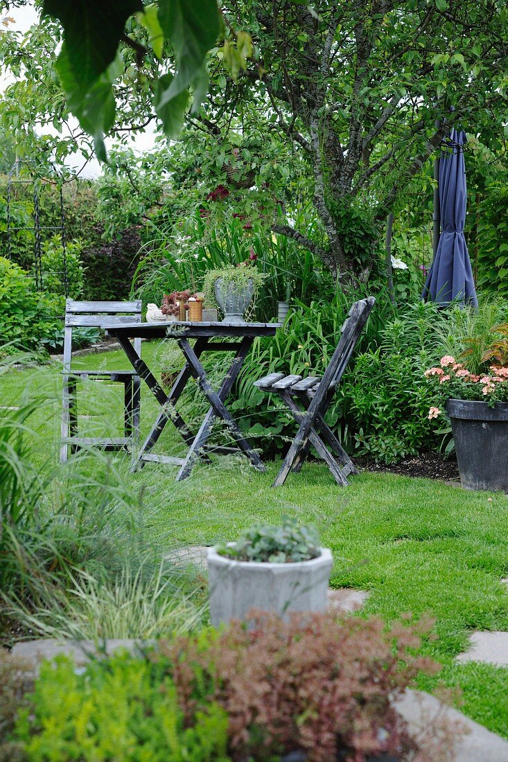Weathered wooden table and chairs under pear tree in summer garden