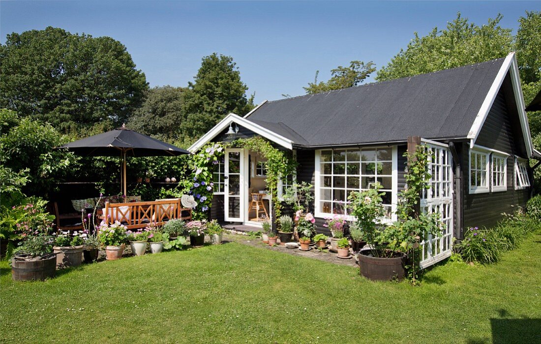 Small black-painted summer house with white lattice windows in sunny garden