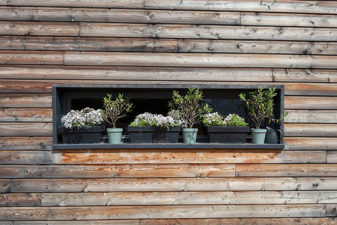 Horizontaler Fensterschlitz mit Blumenkästen in Holzfassade