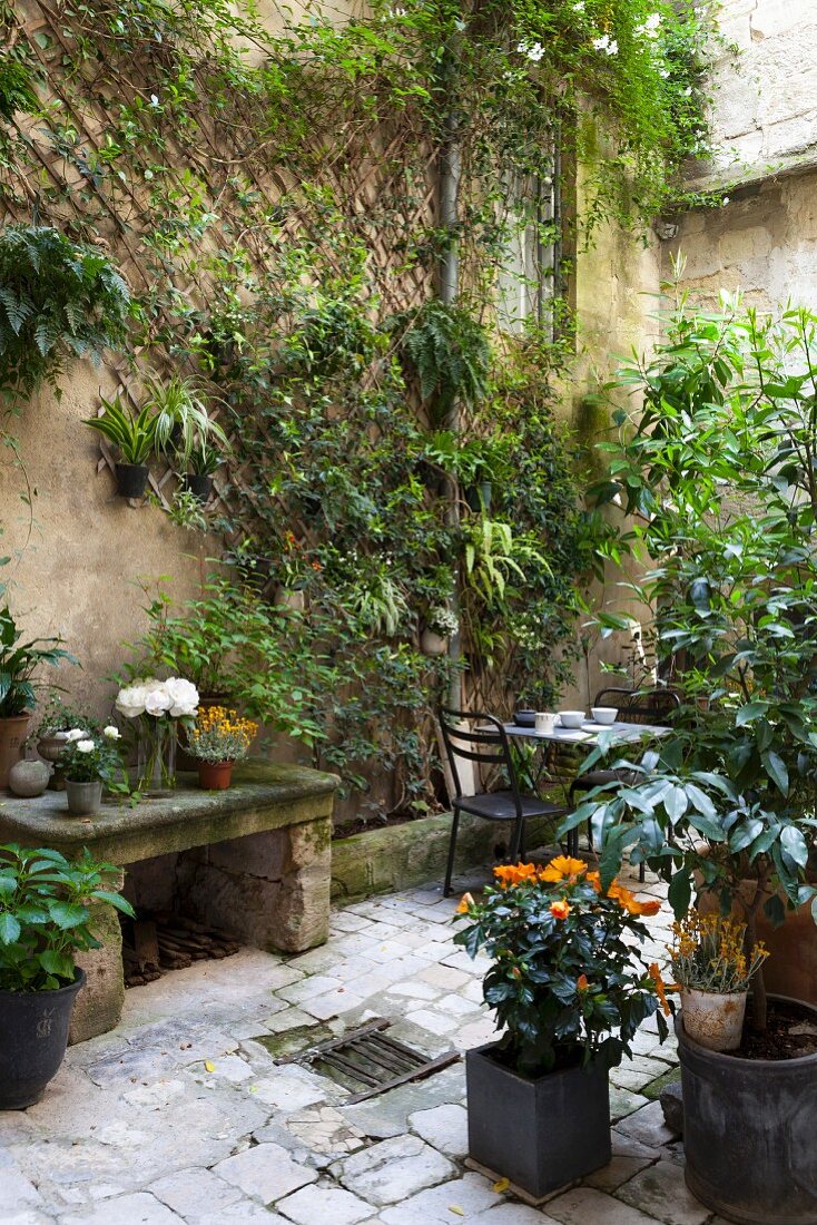 Potted plants, stone bench, table and two chairs in planted courtyard