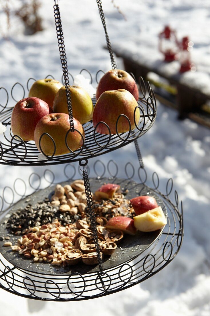 Vogelrestaurant: Draht-Etagere gefüllt mit Vogelfutter & Äpfeln