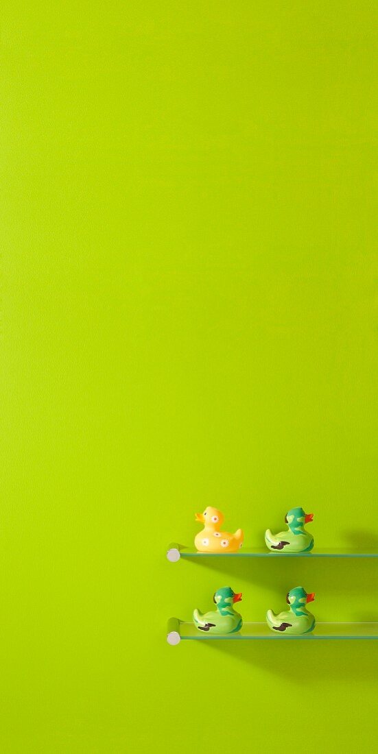Bunte Badewannen-Enten auf Glasborden vor frühlingsgrün getönter Wand