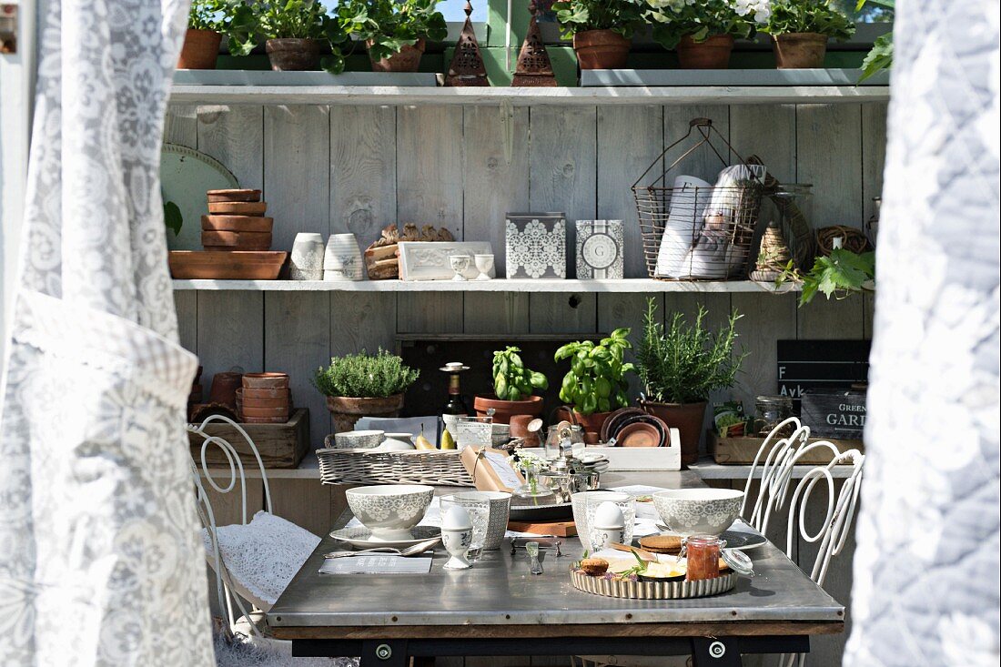 Breakfast table in front of shelves of potted herbs and garden utensils in sunny greenhouse