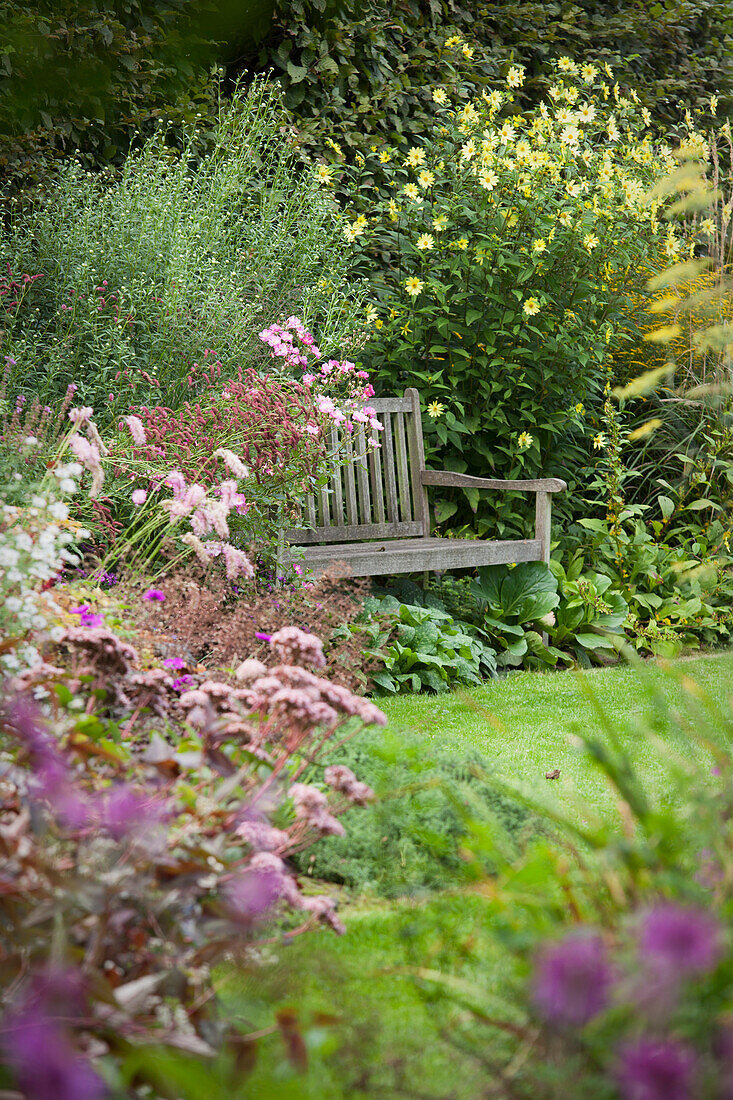 Holzbank zwischen blühenden Büschen als versteckter Sitzplatz im Garten