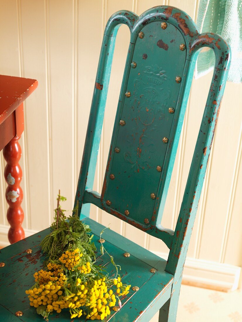 Bunch of mimosa on metal chair with peeling paint in rustic interior