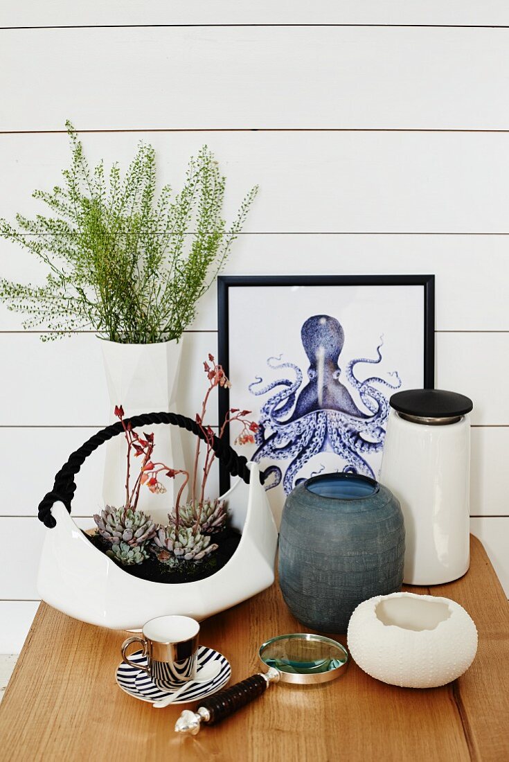 Succulents planted in white, basket-shaped china dish, various vases and picture of octopus against white wooden wall