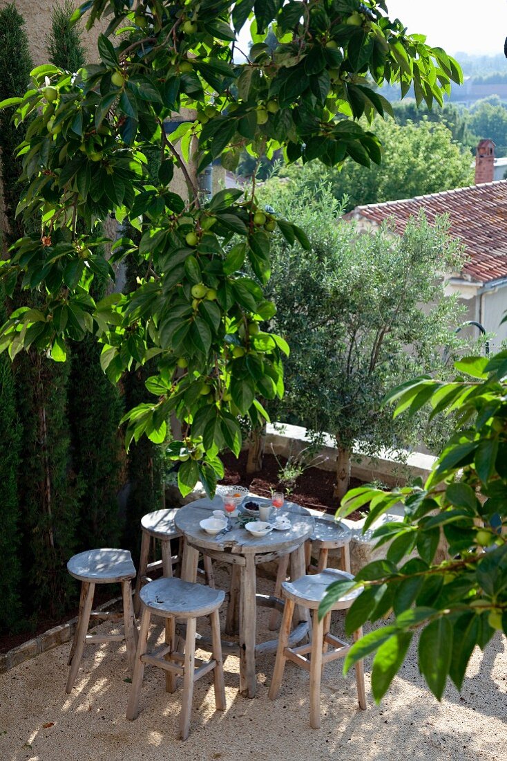 Rustikaler Sitzplatz, Holzhocker um runden Tisch auf Terrasse, unter Zitronenbaum