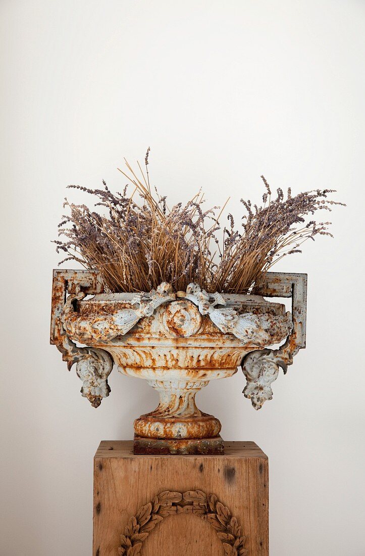 Vintage urn of dried lavender on wooden plinth
