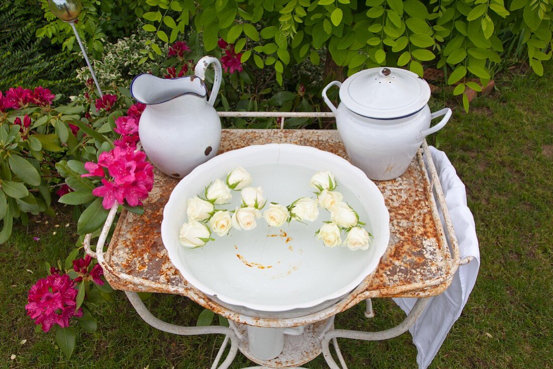 weiße schwimmende Rosenköpfe in Waschschüssel auf rostigem Metallgestell im Garten