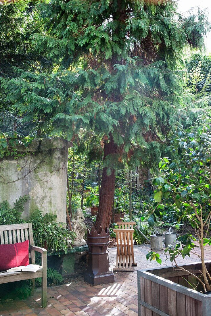 Wooden bench on paved floor next to potted tree in idyllic courtyard