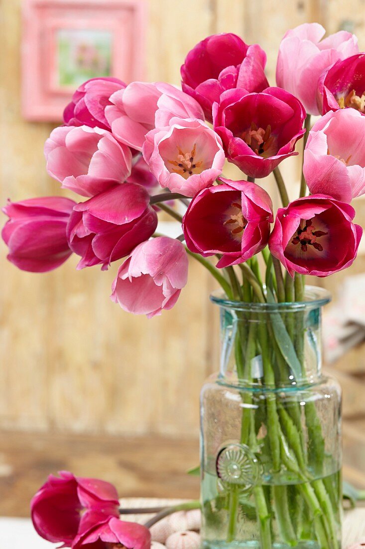 Pinkfarbene Tulpen der Sorten Don Juan & Rosalie als Frühlingsstrauss in Glasvase