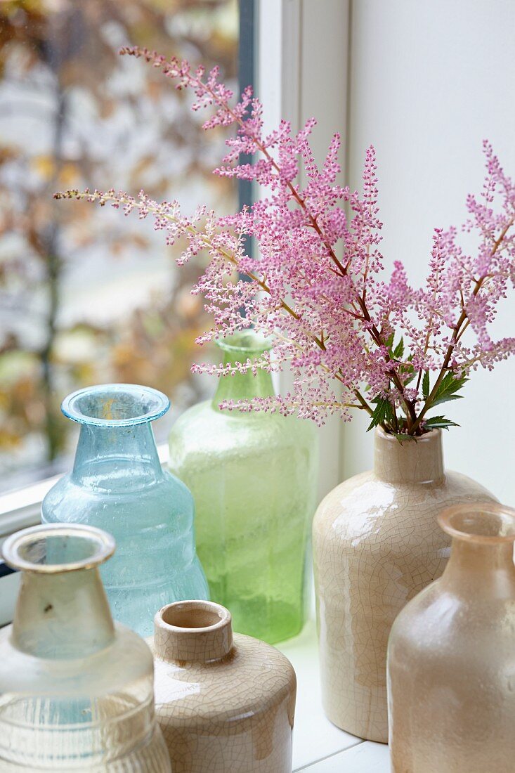 Astilbe flowers in vase