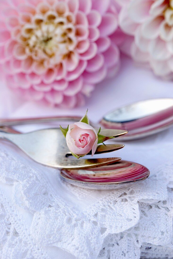 Kuchengabel mit Rosenknospe auf weißer Spitzendecke und rosa Dahlienblüten im Hintergrund