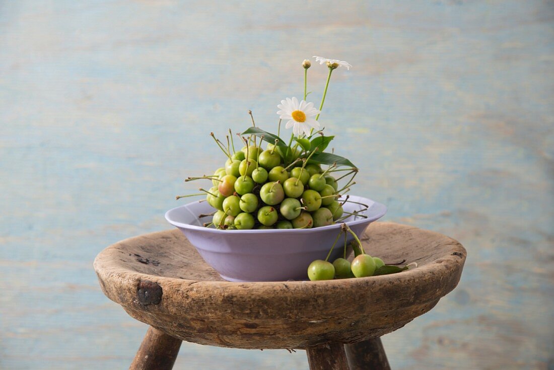 Arrangement of green apples and marguerite daisies in lilac bowl