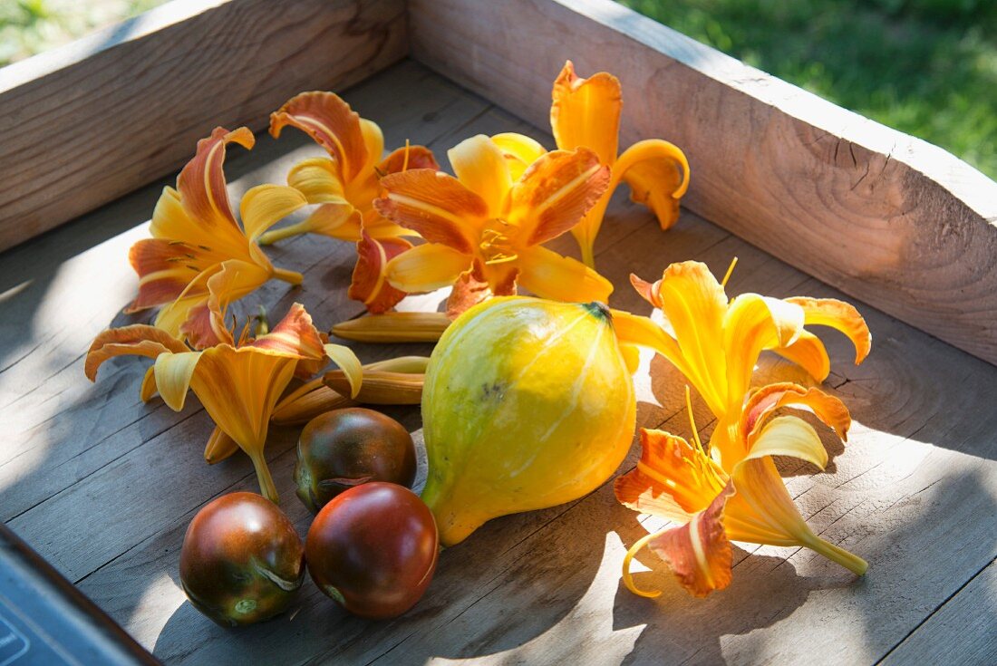 Squash and tomatoes amongst yellow lily blooms in wooden crate