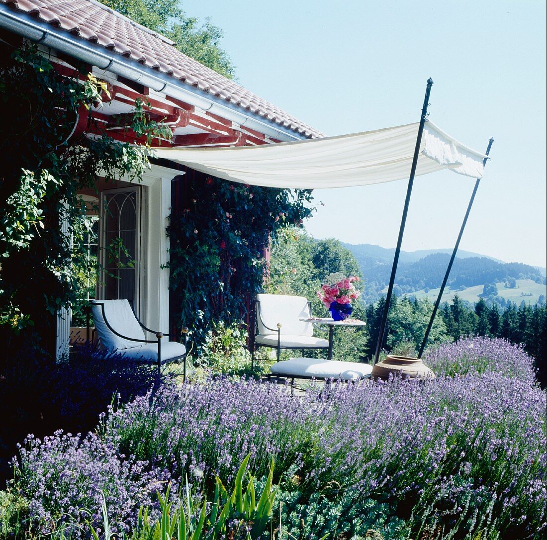 Elegante Outdoormöbel mit weissen Polstern auf Metallgestell unter Sonnensegel auf Terrasse