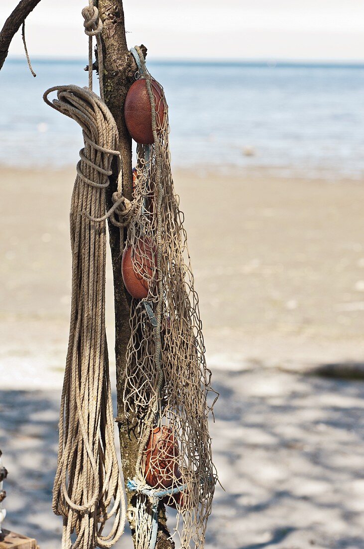 Treibgut am Sandstrand: Seile und Fischernetz