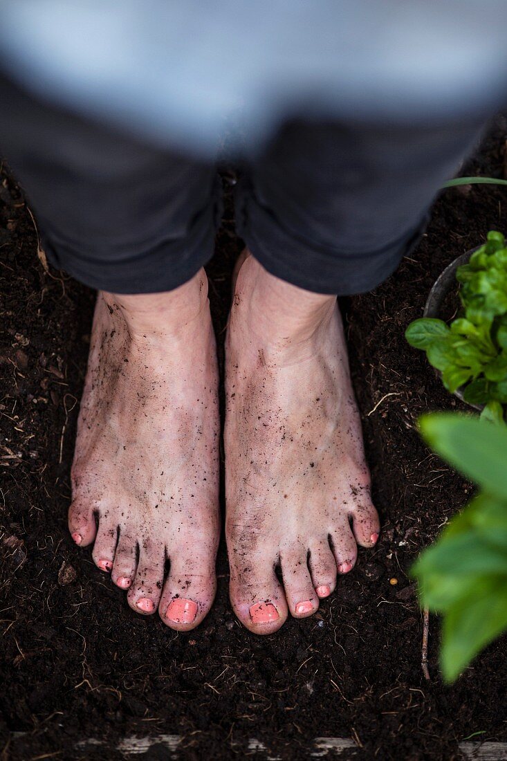 Woman's bare feet standing on bare soil between plants
