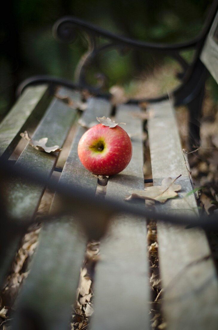 Red apple an autumn leaves on wooden bench