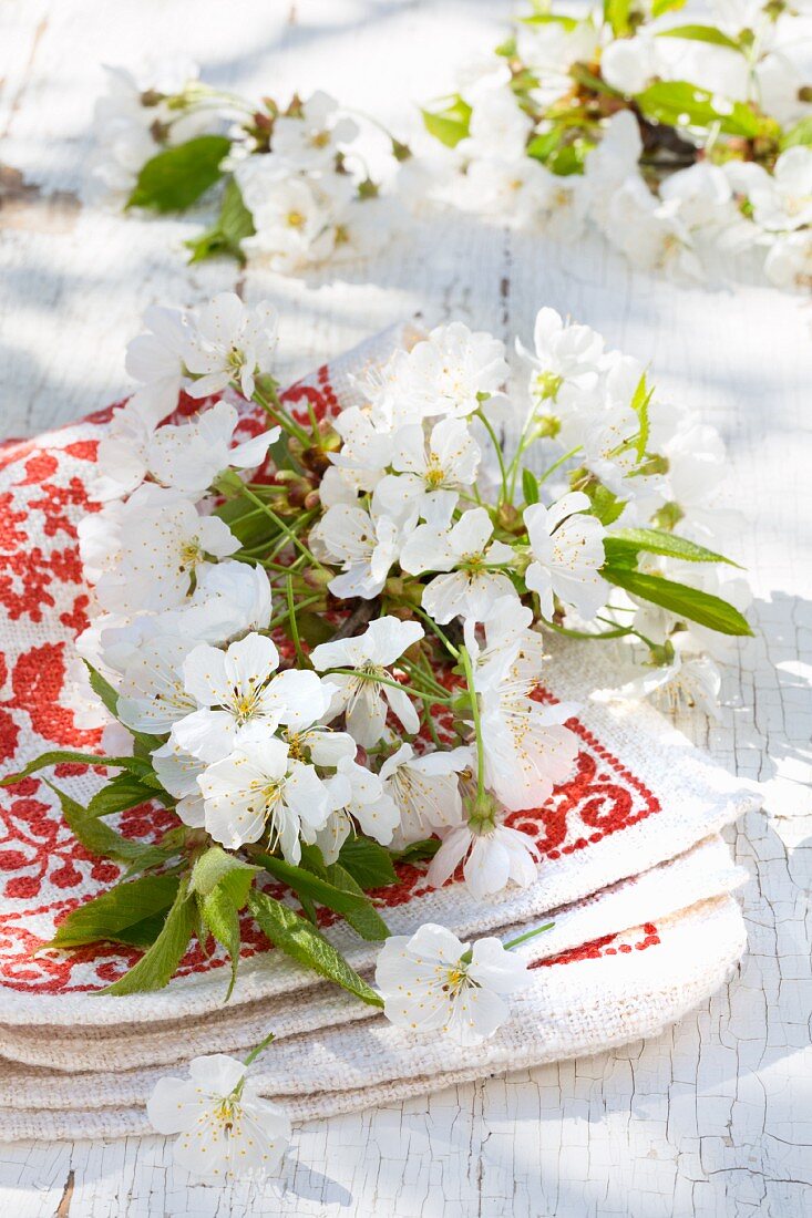 Kirschbaumblüten auf rot-weißem Tuch auf Holztisch im Freien